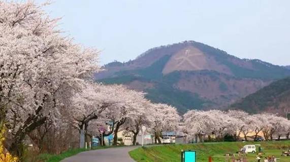 Japan: 37,000 km² Yields 6.61M Tons Rice Annually